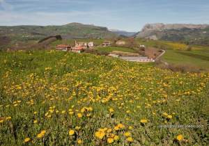 Primavera en Karrantza por Sergio González Ahedo