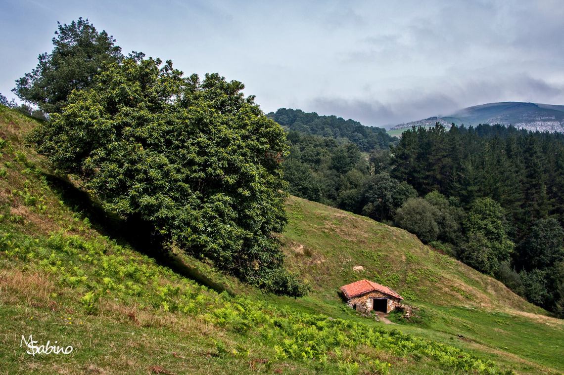 Rincón en las proximidades de El Tejo, en Santecilla
