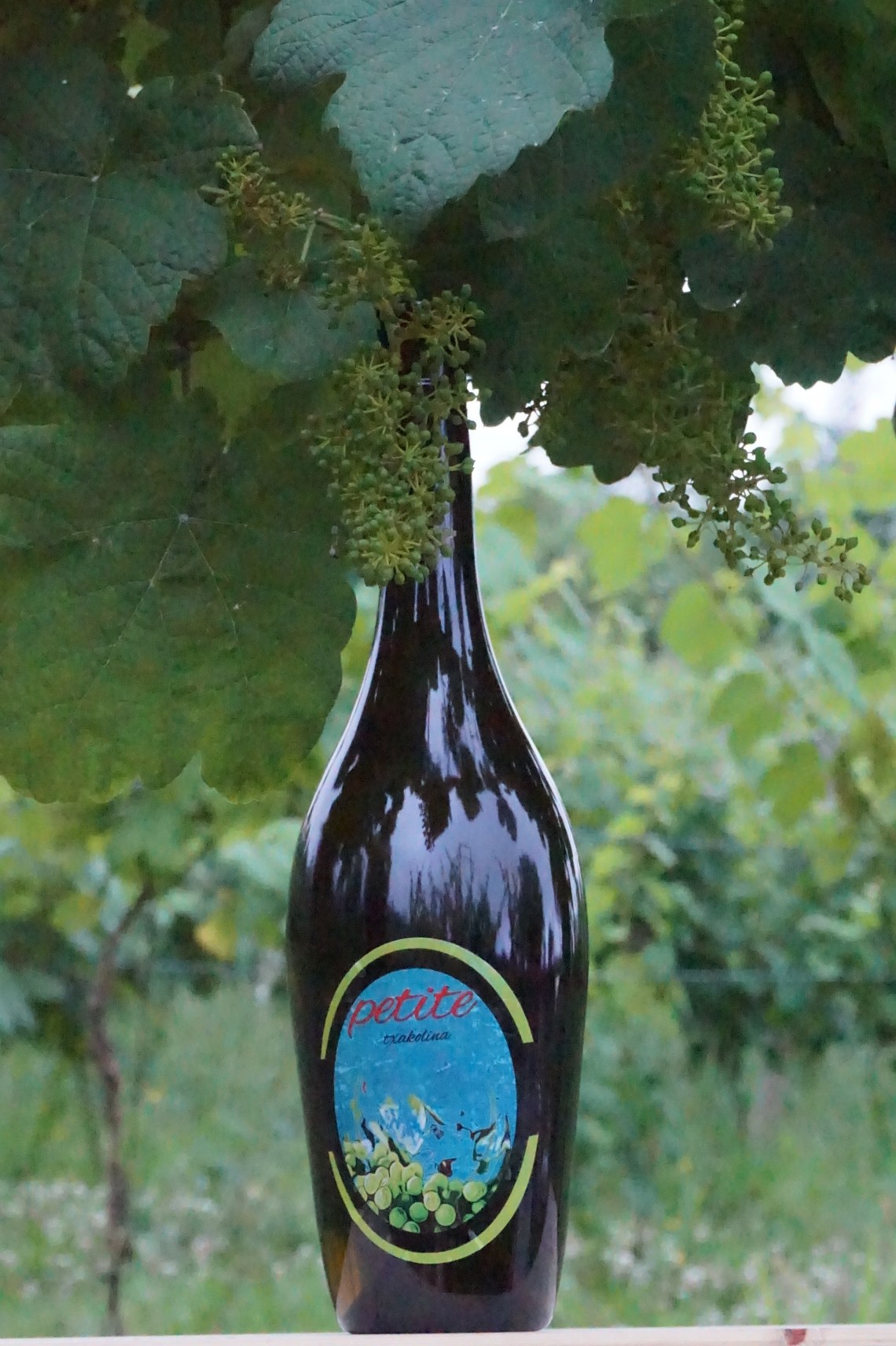 PETITE_TXAKOLINA_CASA_GARRAS3